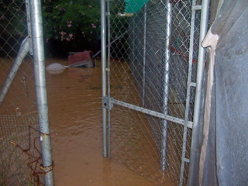 flood01.jpg