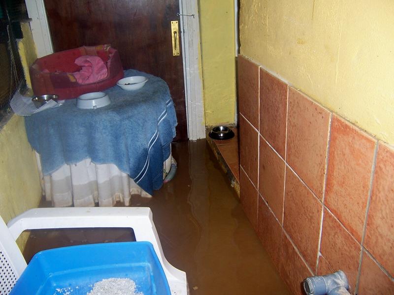 flood06.jpg