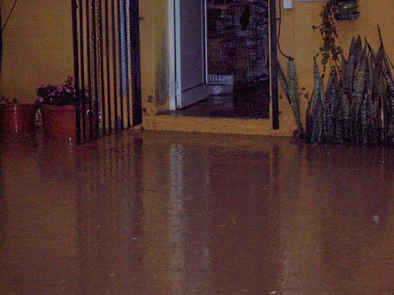 flood05.jpg