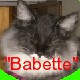 Benutzeravatar