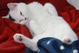Benutzeravatar