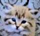 Benutzeravatar