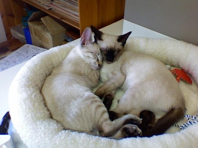 Foto 14.jpg