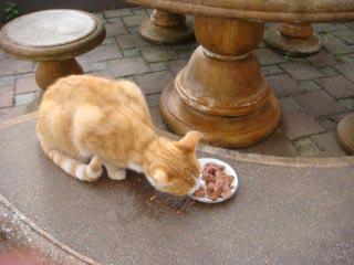 DSC00121.jpg
