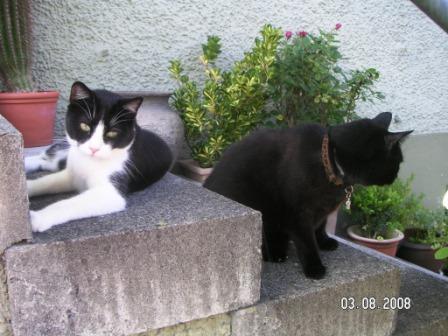 nun versperrt mir auch noch der kleine wildfang fly den weg...
