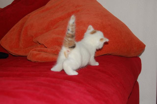 image0002wc0.jpg